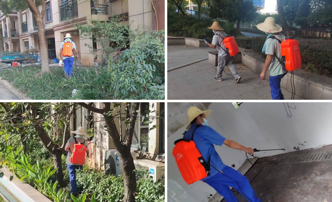 灭蚊.jpg 灭蚊.jpg